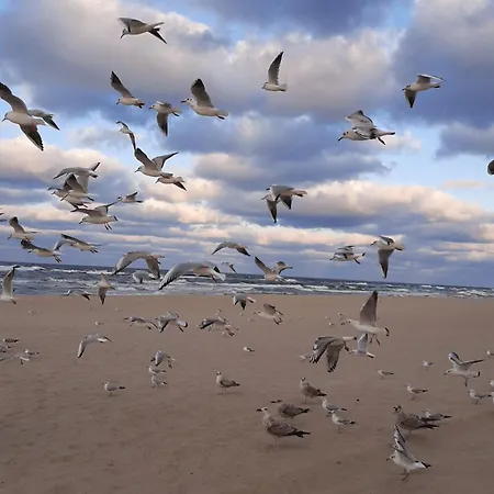 Sloneczny * Władysławowo